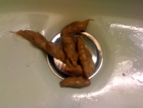 dancer poop in sink.jpg
